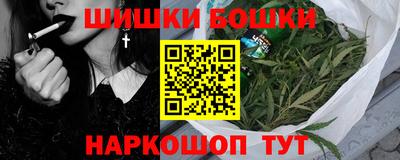 индика Рыбинск