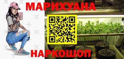 индика Рыбинск