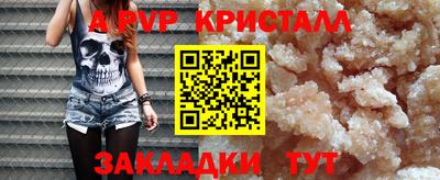 индика Рыбинск