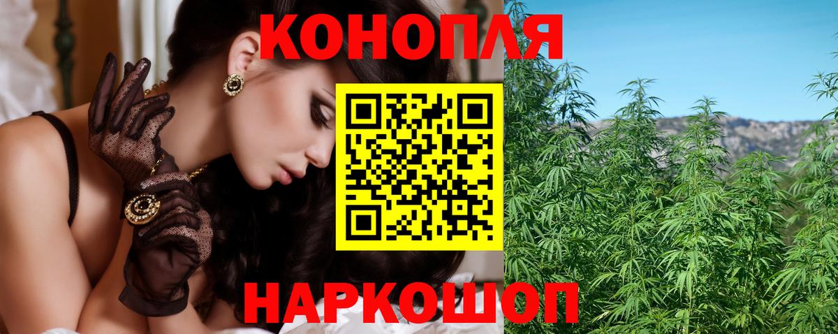 Канабис OG Kush Сальск